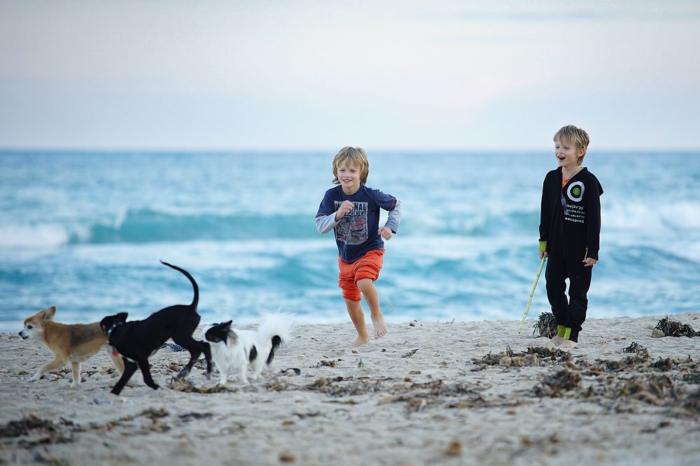 Photograph by Алёна Алешкевич