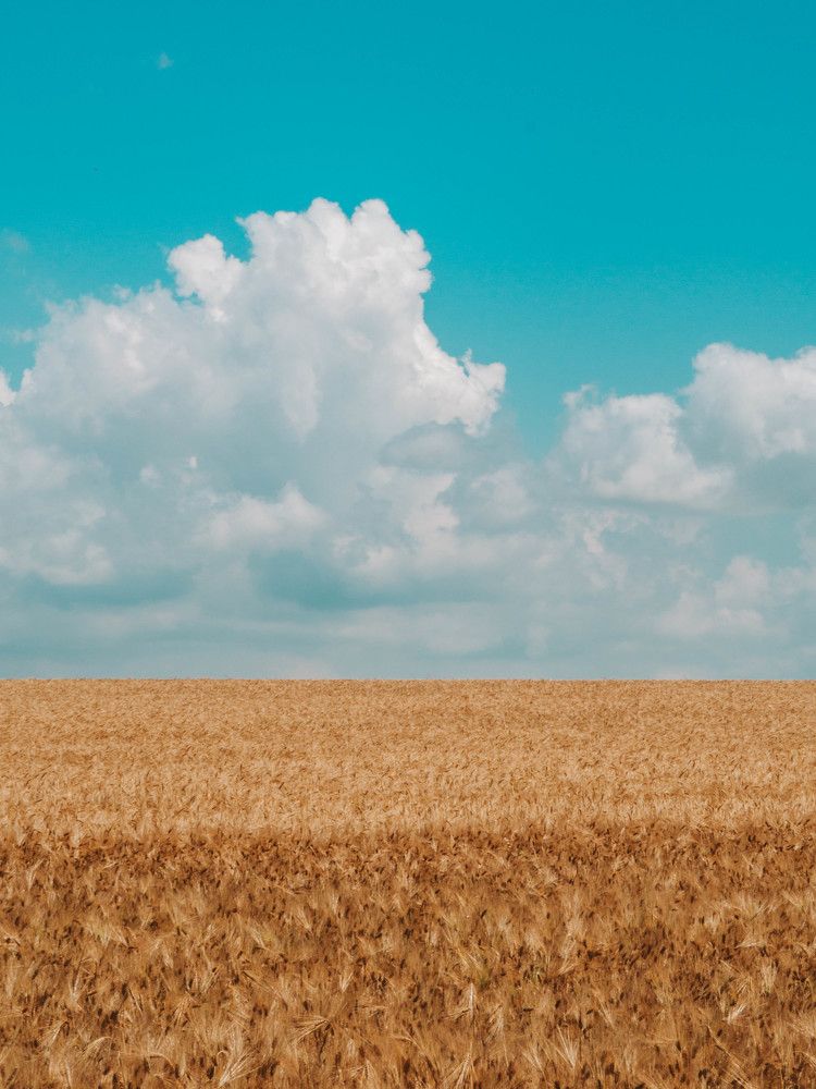 Photograph by Донской Дмитрий