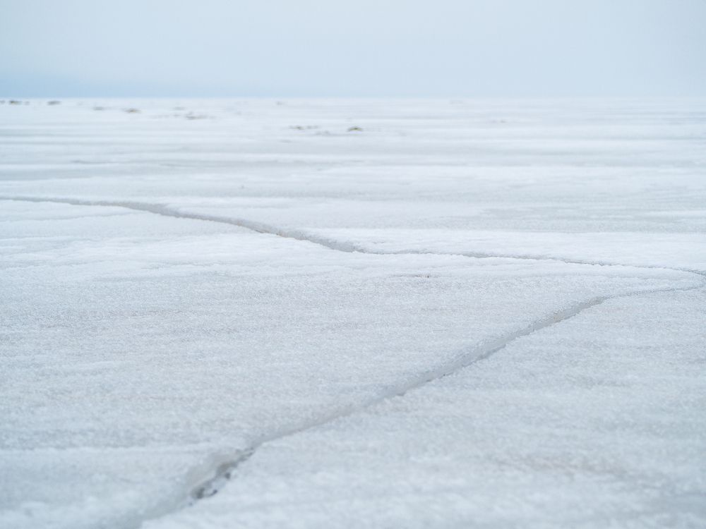 Photograph by Линк Ольга