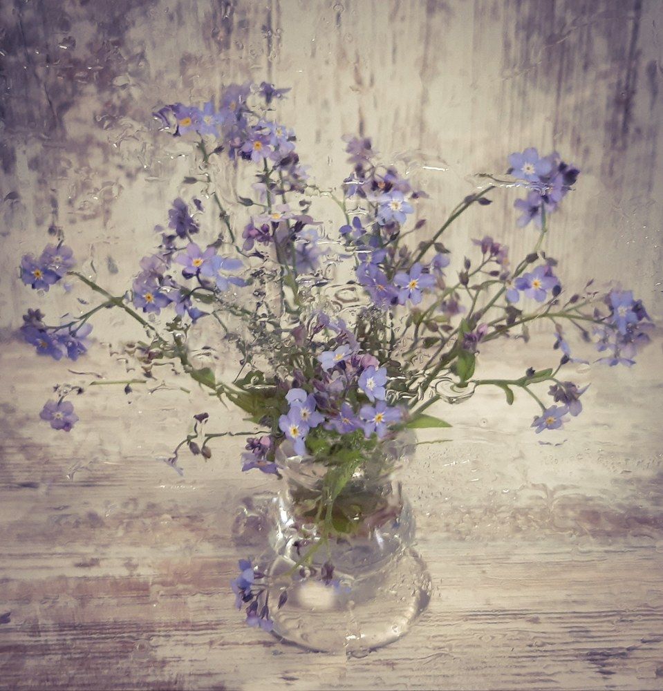 Photograph by Ольга