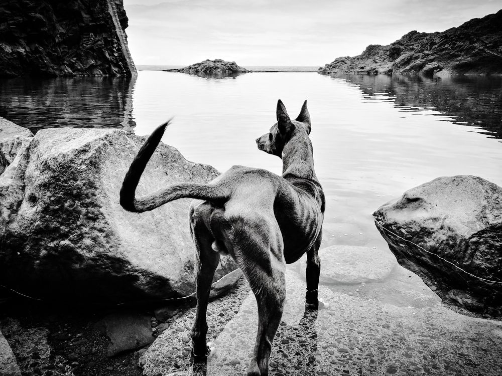 Photograph by João Sousa