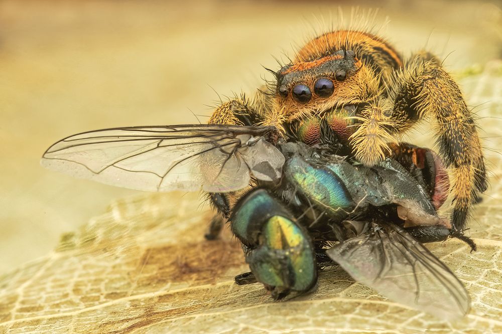 Photograph by Dzulfikri Dzulfikri