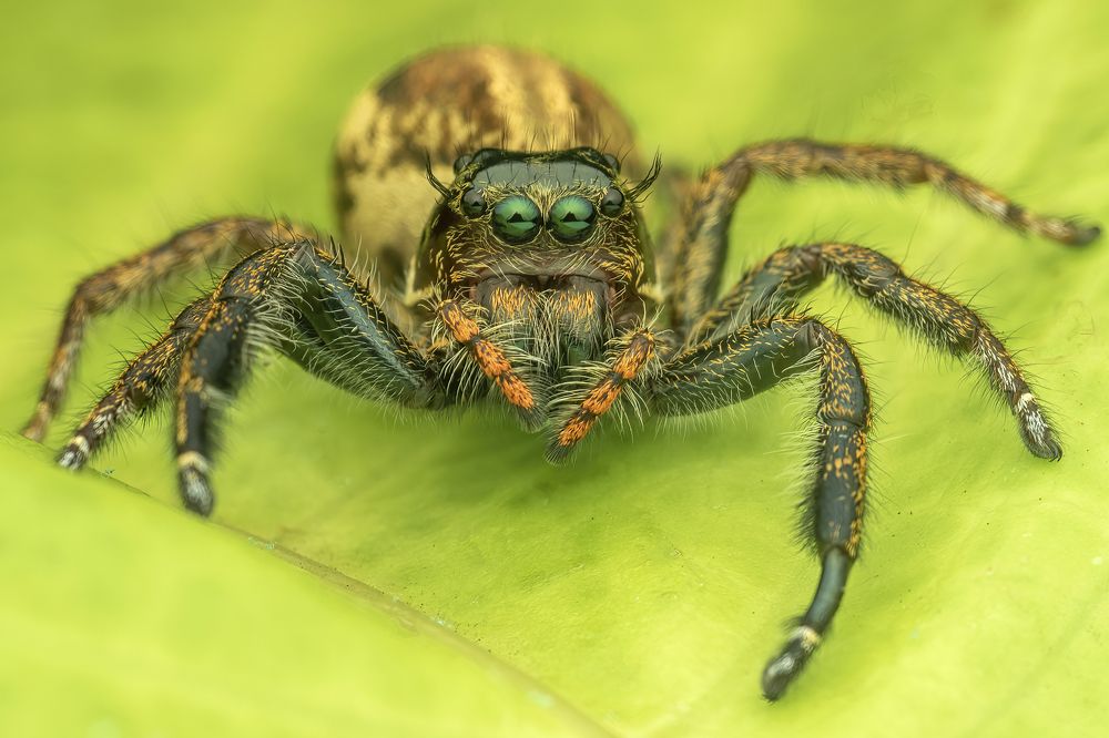 Photograph by Dzulfikri Dzulfikri