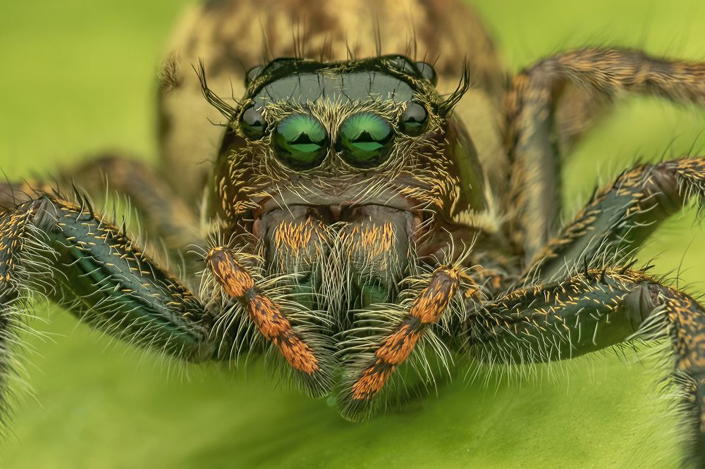 Photograph by Dzulfikri Dzulfikri