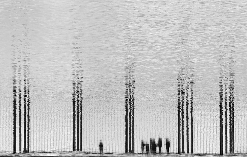 Photograph by Mahmoodreza Noraei