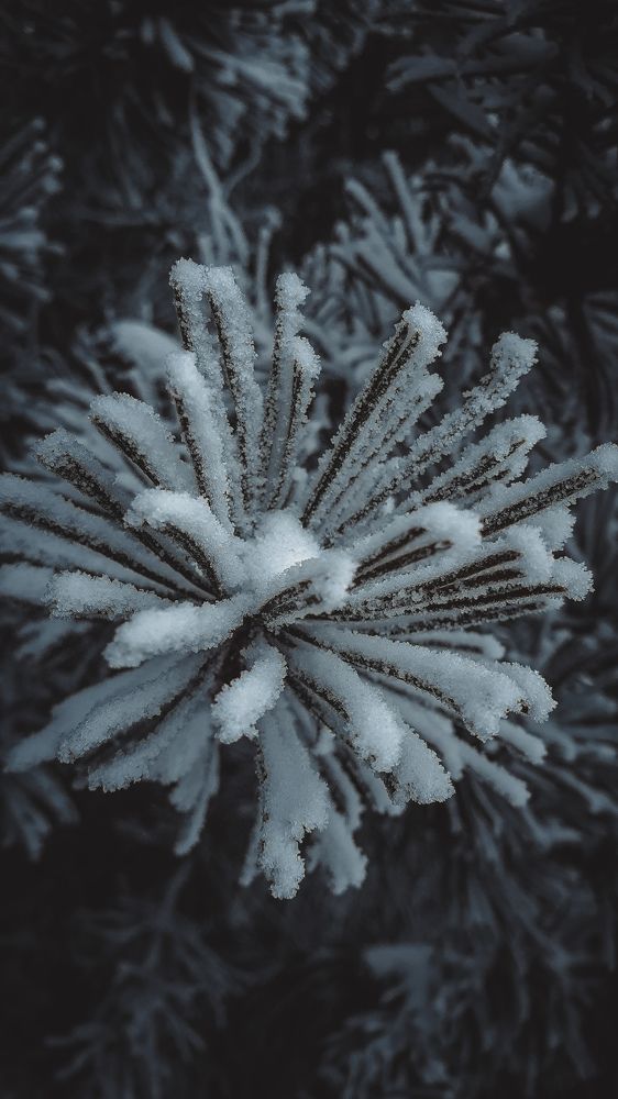 Photograph by Виктор Литошик