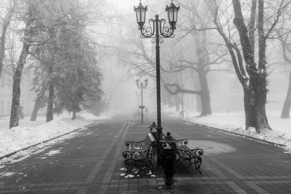Photograph by 