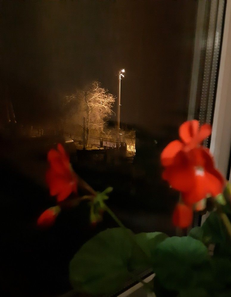 Фотография автора Ирина Лукьянчик