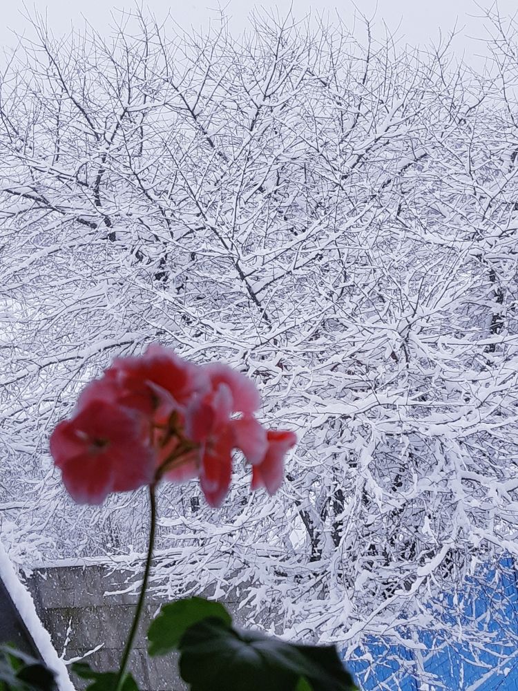 Фотография автора Ирина Лукьянчик