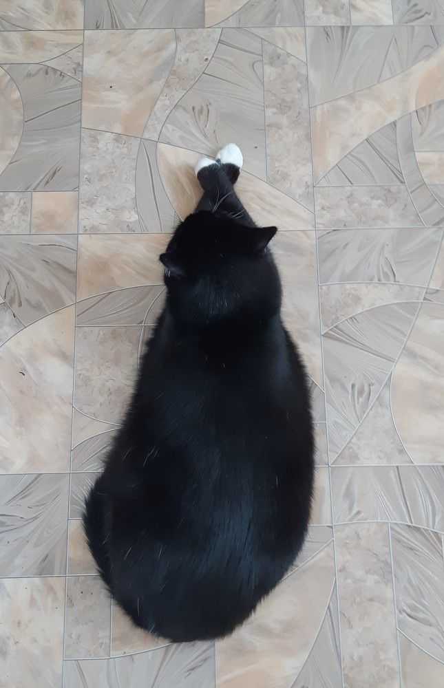 Фотография автора Ирина Лукьянчик