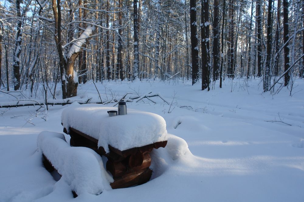 Photograph by Галина Завязкина