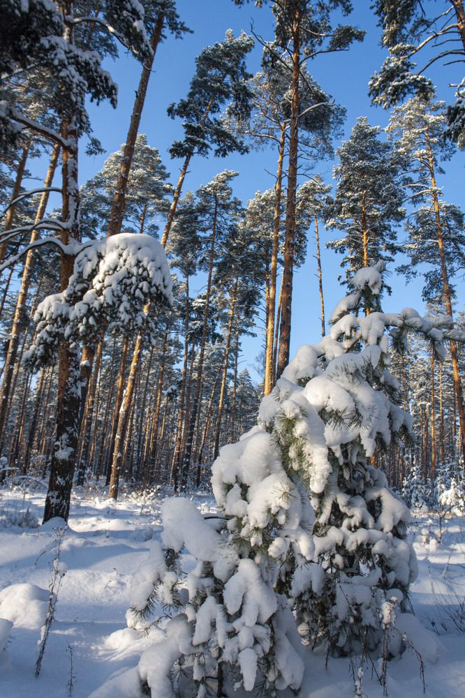 Photograph by Галина Завязкина