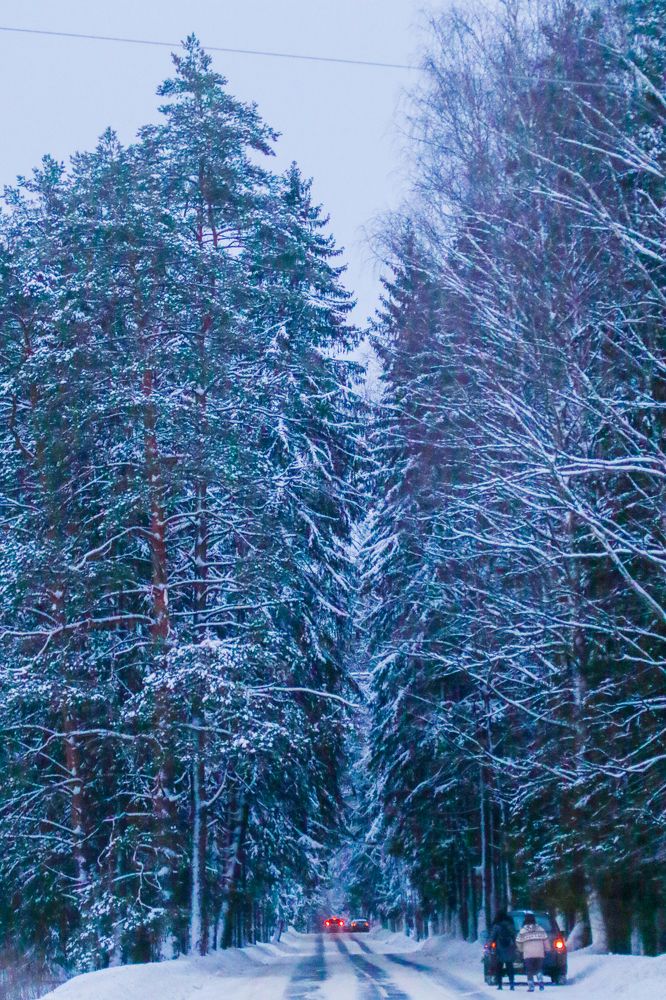Photograph by Анна Чадова