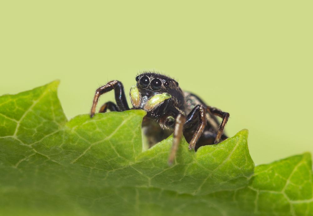 Photograph by Марина Багрова