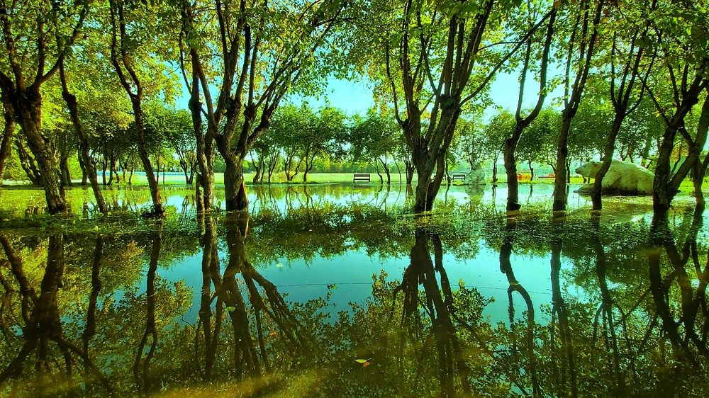 Photograph by Владимир