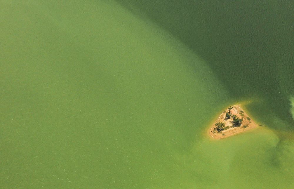 Photograph by Mohamed Kaouche