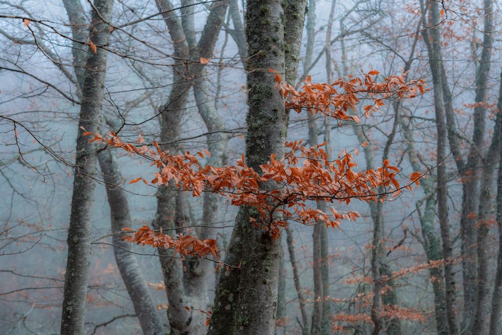 Фотография автора Mashin Rostislav