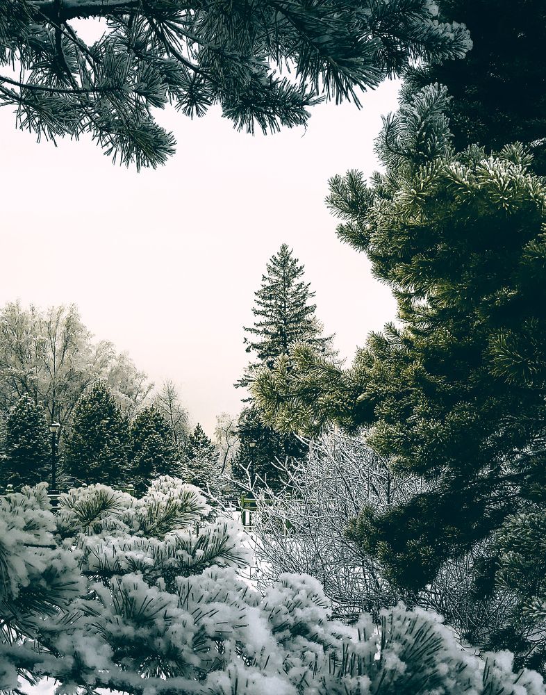 Photograph by Владимир