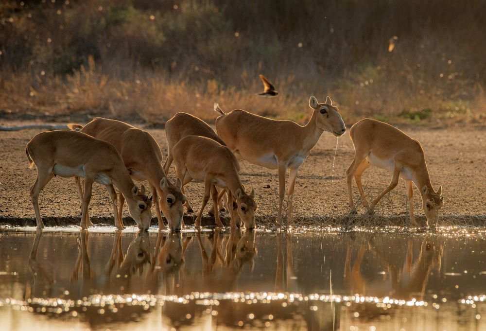Фотография автора Mashin Rostislav
