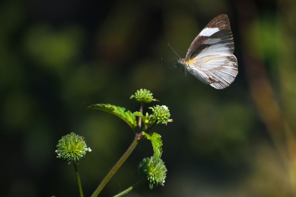 Photograph by Htet Myat Soe