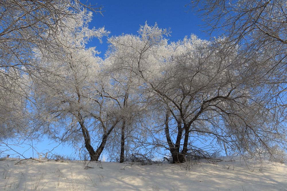 Иней января
