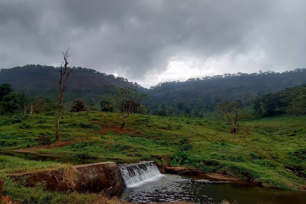 Beautiful nature