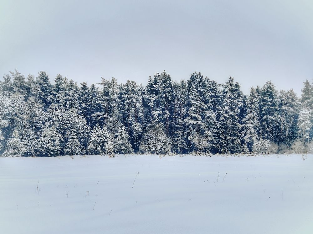 Photograph by Надежда Иголкина