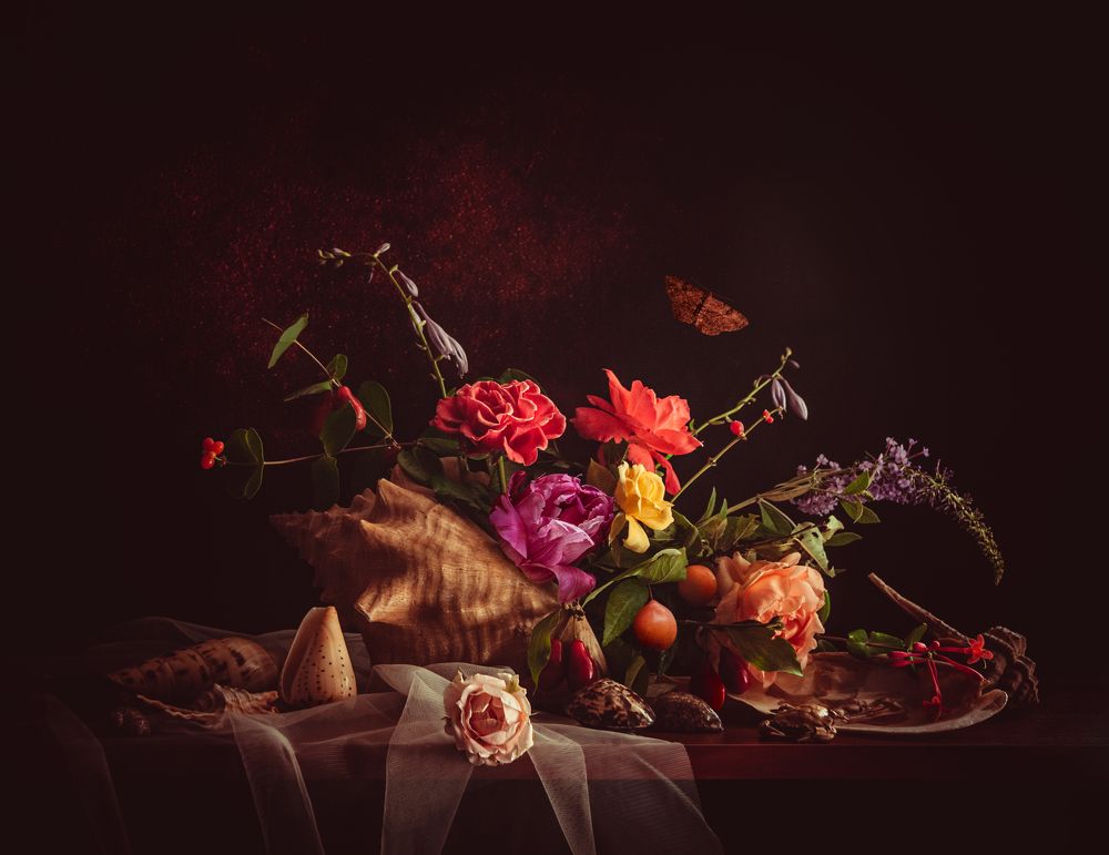 Фотография автора Анна Власенко