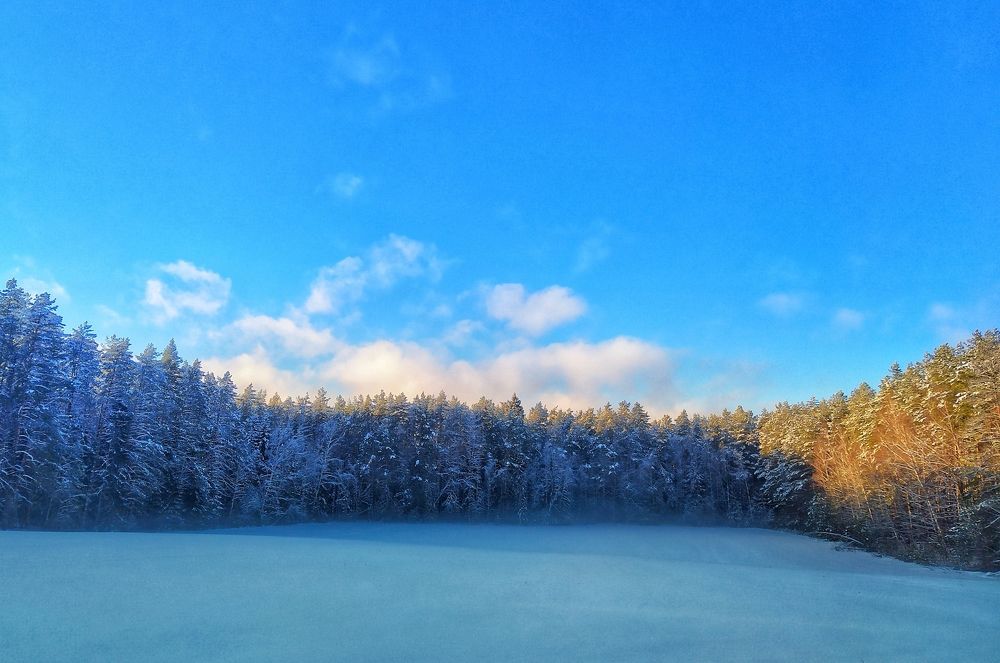 Photograph by Надежда Иголкина