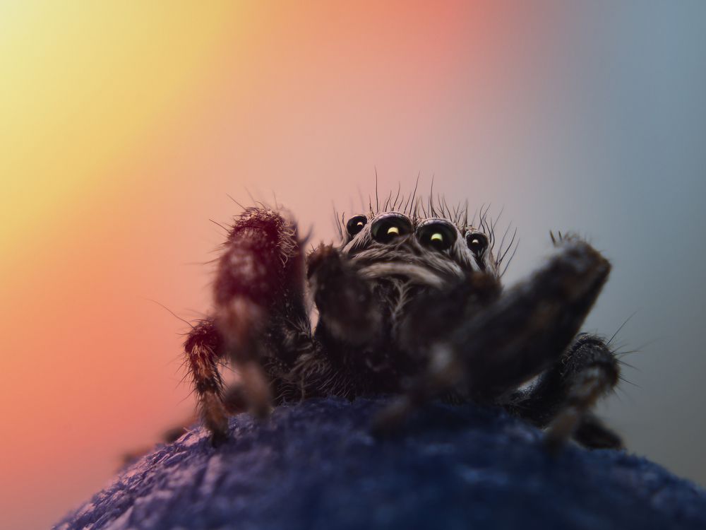 Photograph by андрей гусев