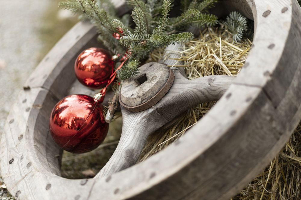 Фотография автора Guzel Kolobova