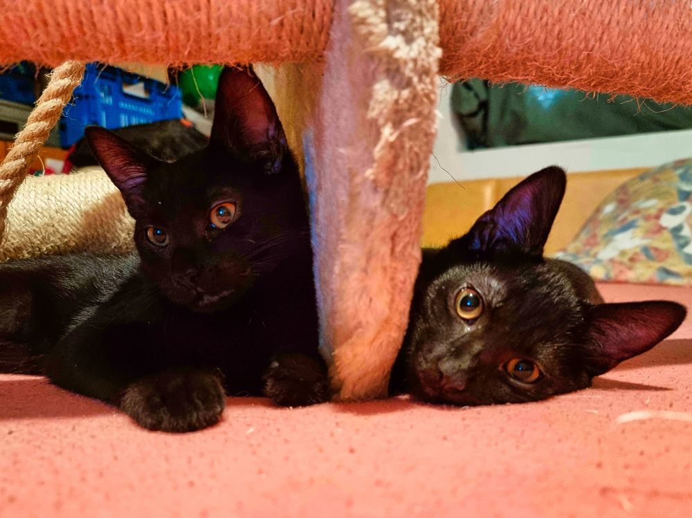 Photograph by Sandor Zoltan Gal