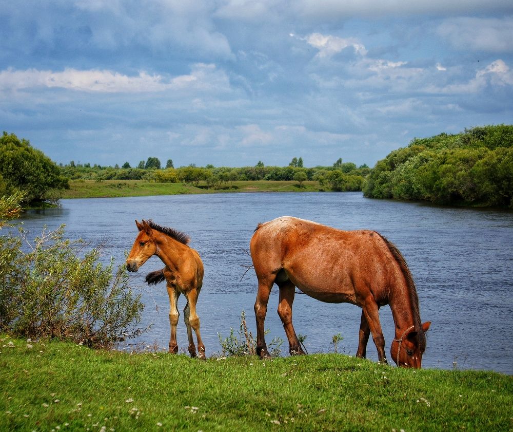 Photograph by Владимир