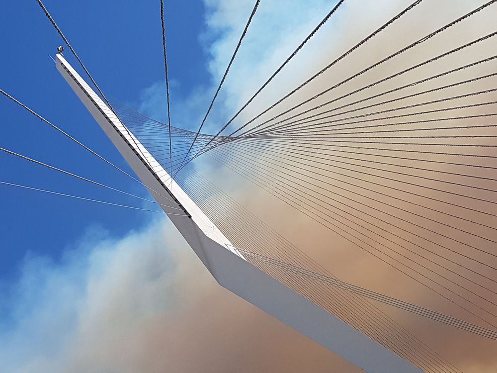 Фотография автора Ася Бабушкина