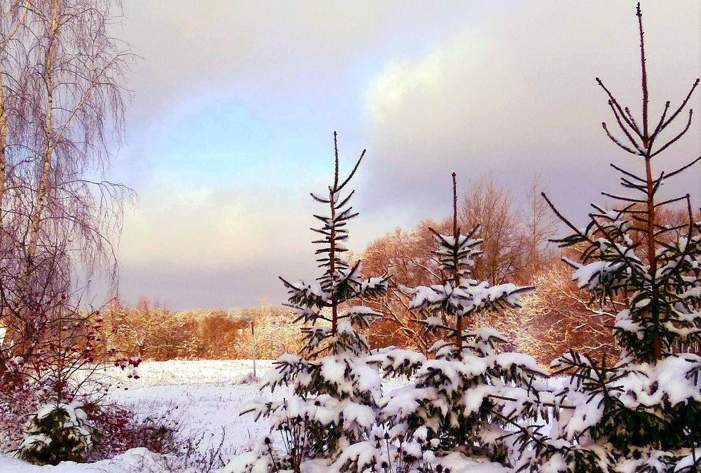 Фотография автора Анжелика Чашинская