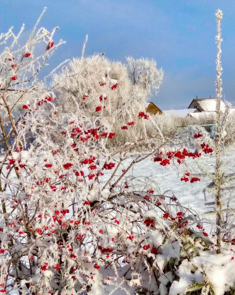 Фотография автора Анжелика Чашинская