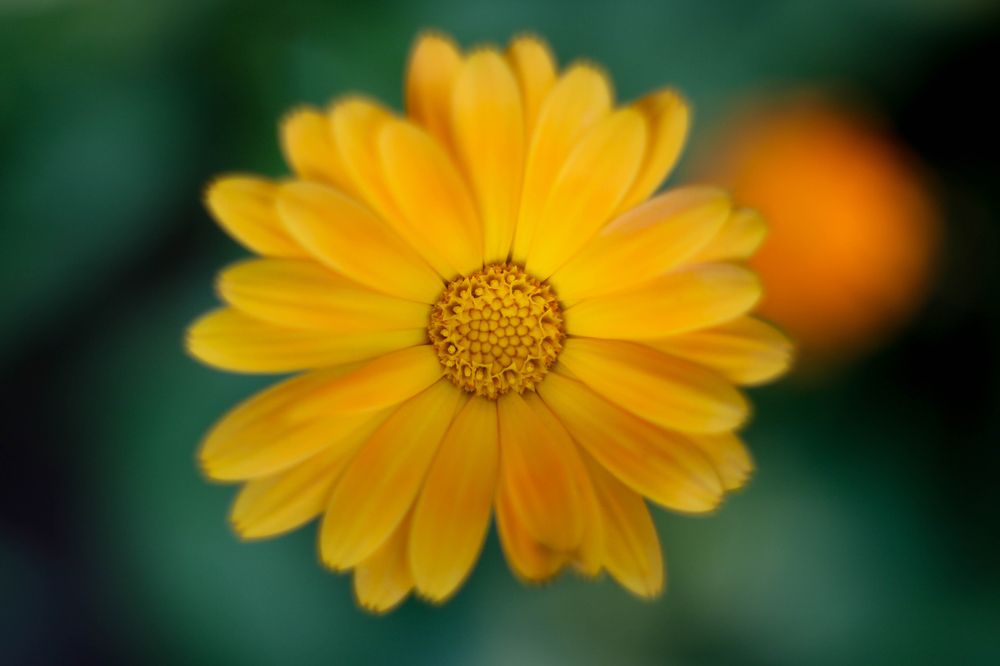 Photograph by Семён Махмутов