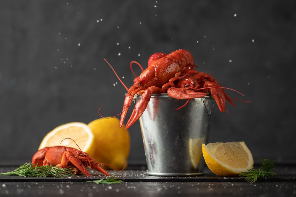 Photograph by Alena Gudz