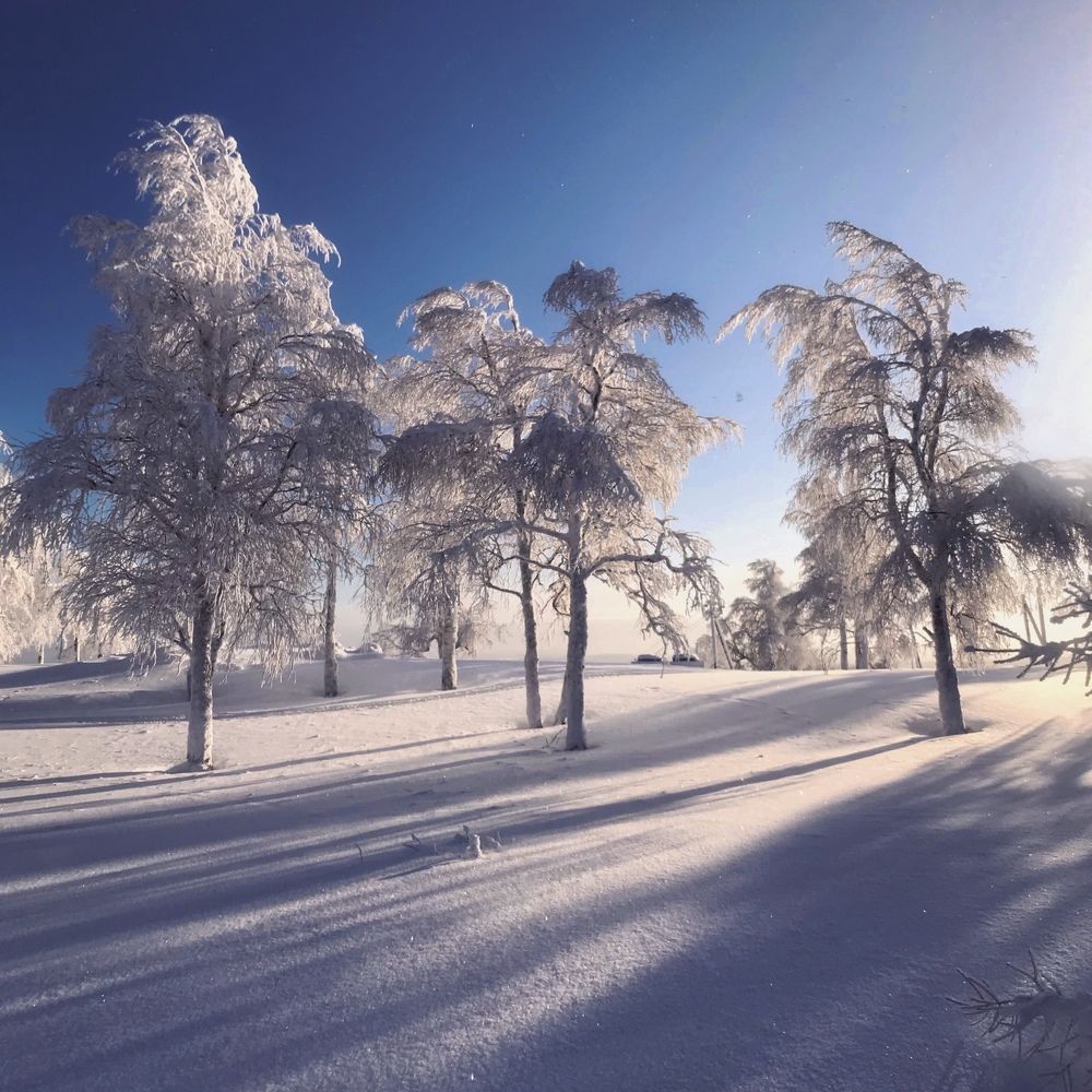 Photo #7078778