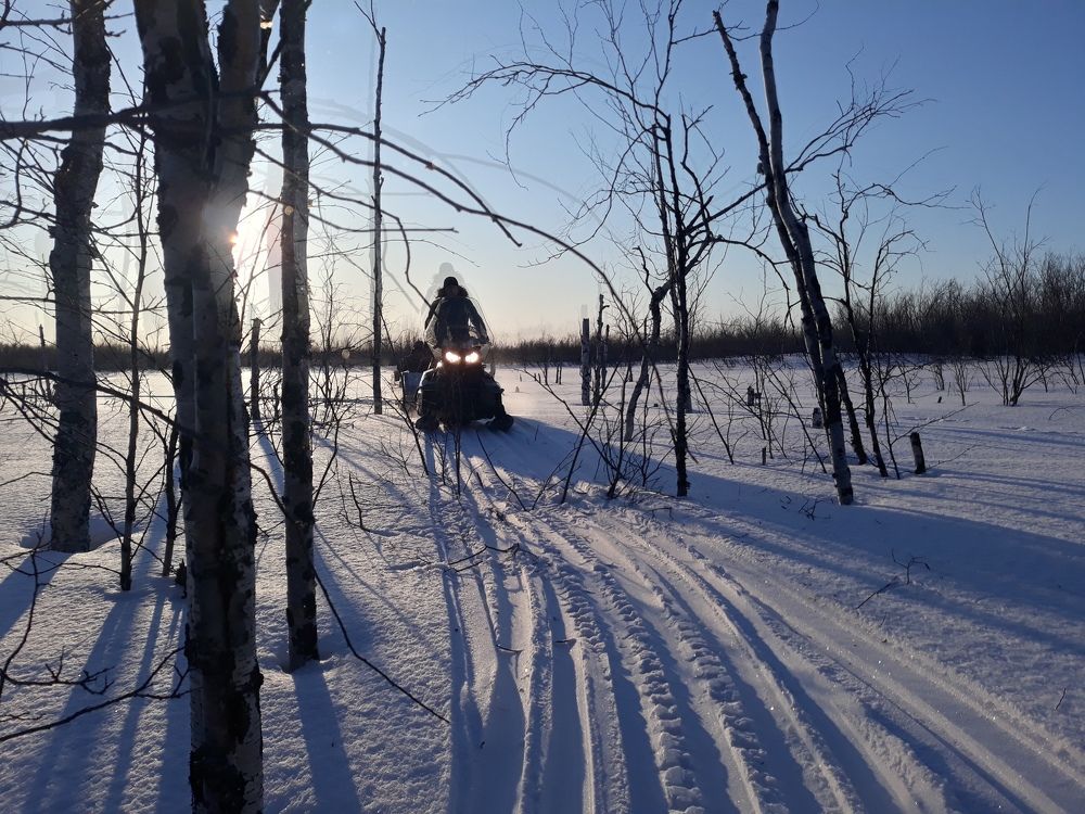 Ямальский снежный десант
