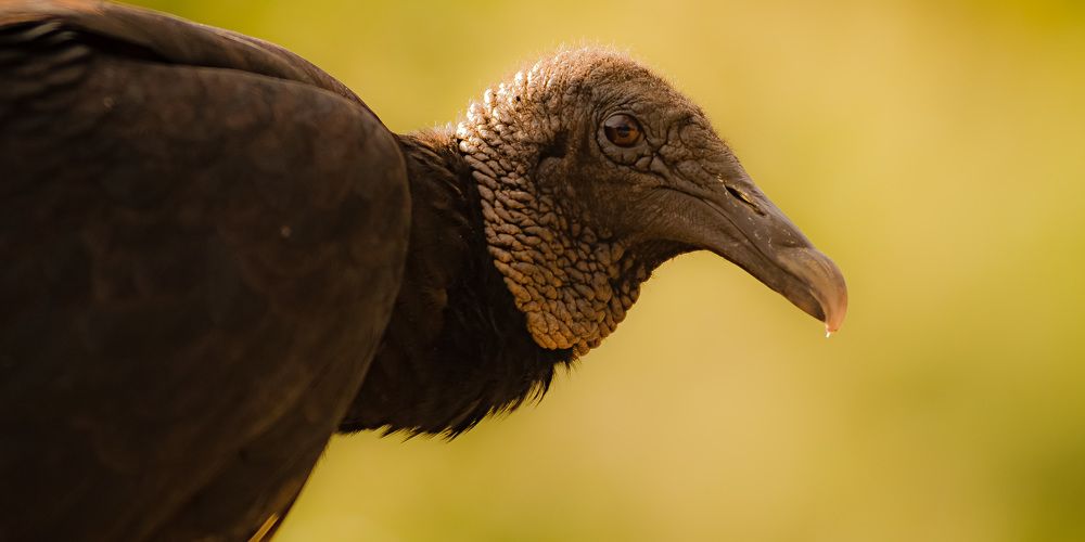 Photograph by Elias Deus