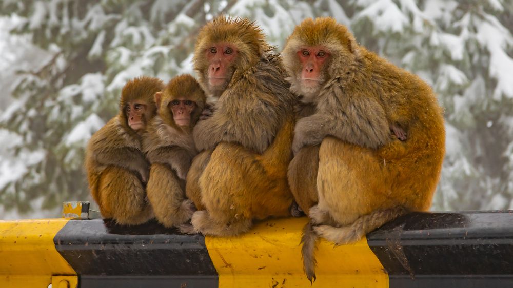 Photograph by Farrukh Siddiqi