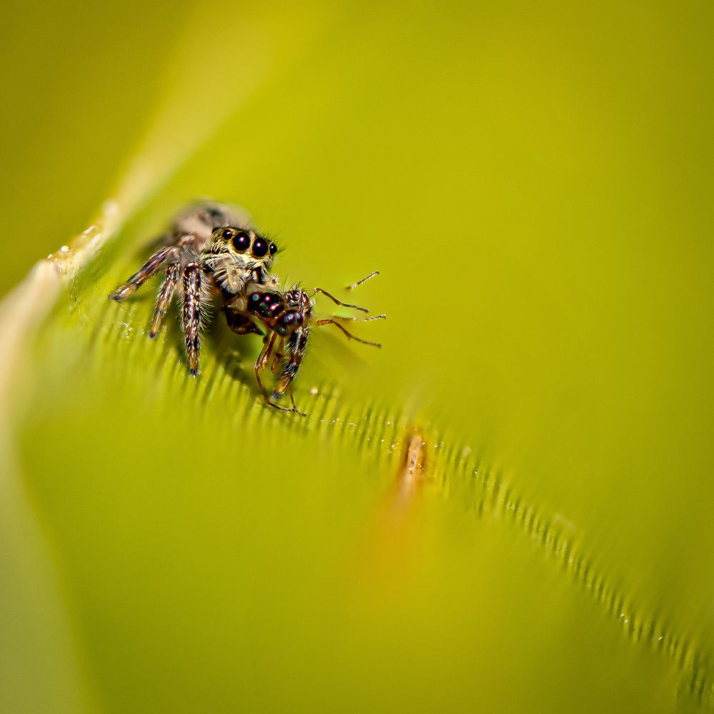 Photograph by Elias Deus