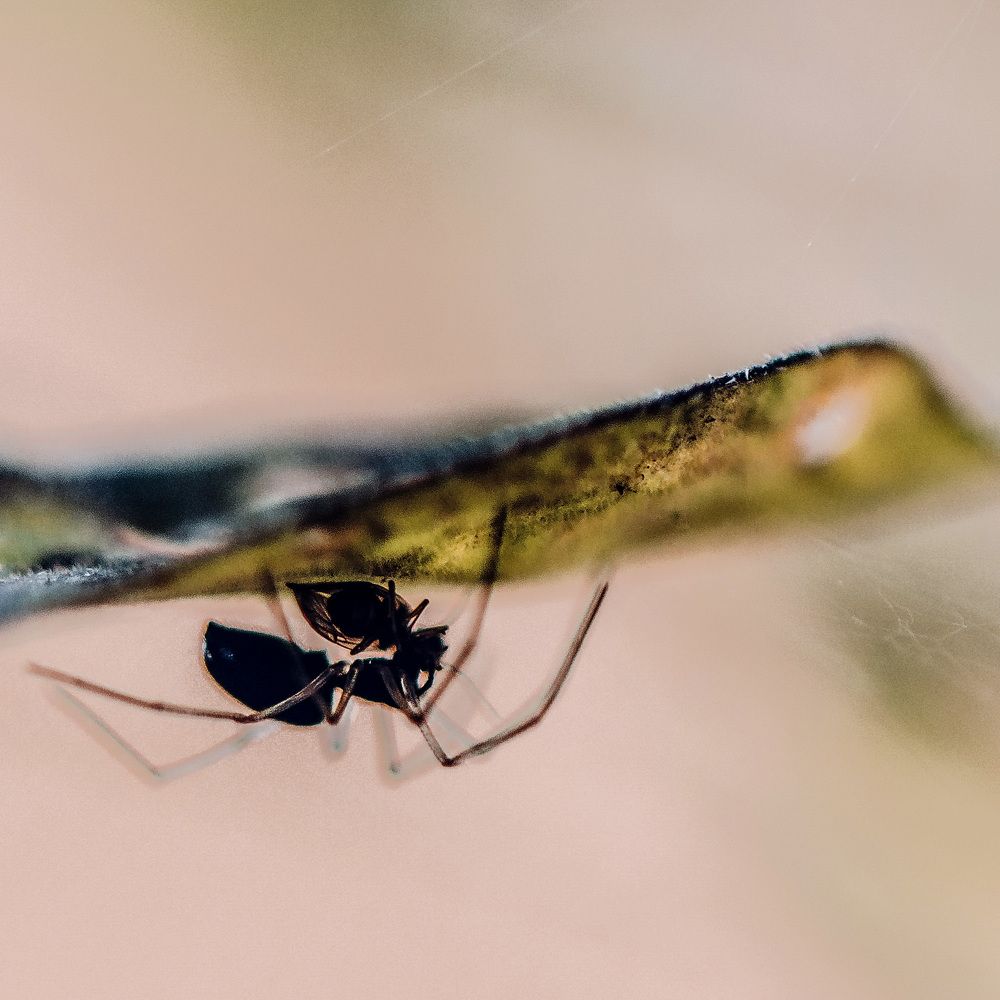 Photograph by Elias Deus