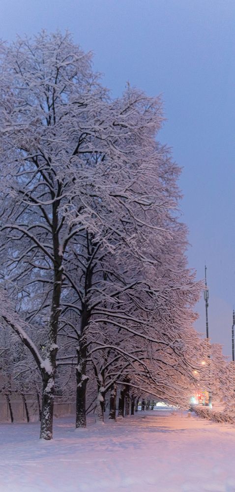 Photograph by Дмитрий Жижин