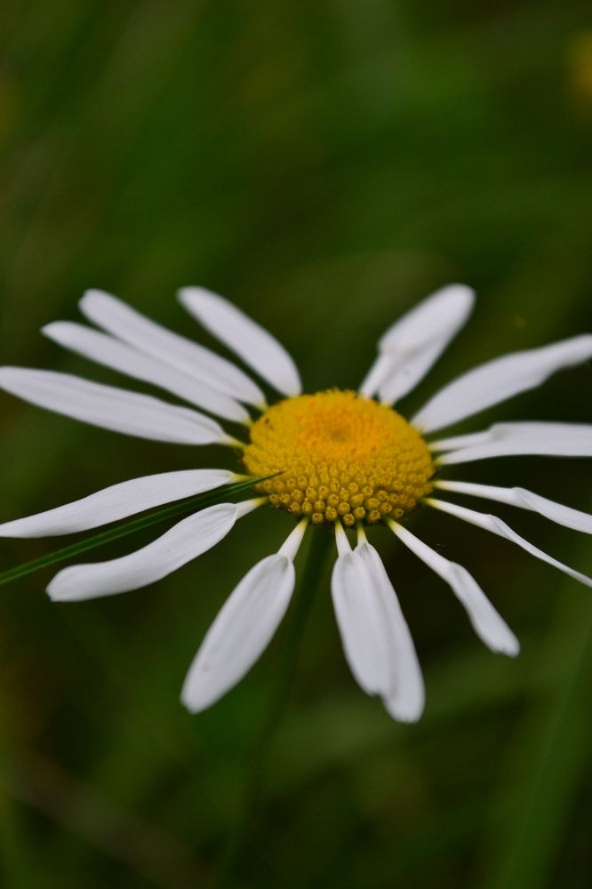 Photograph by Ольга Черняк