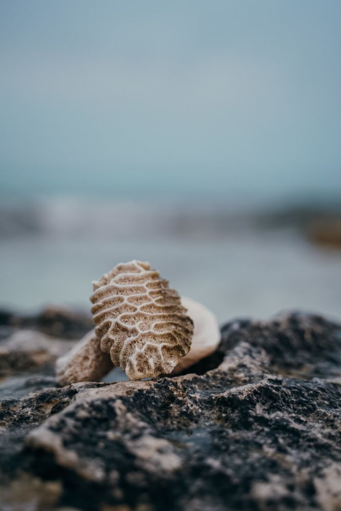 Photograph by Ekaterina Sukhanova