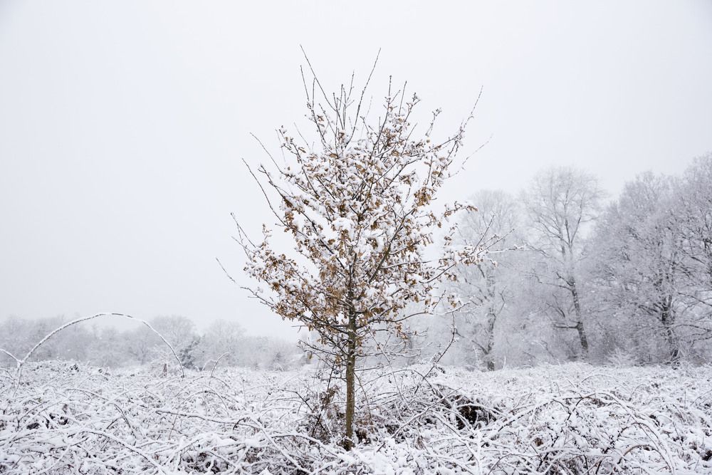 Photograph by Giacomo Giannelli