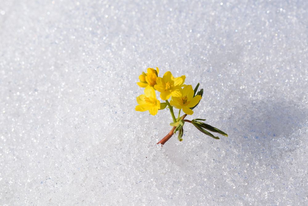 Photograph by Татьяна Дорожко