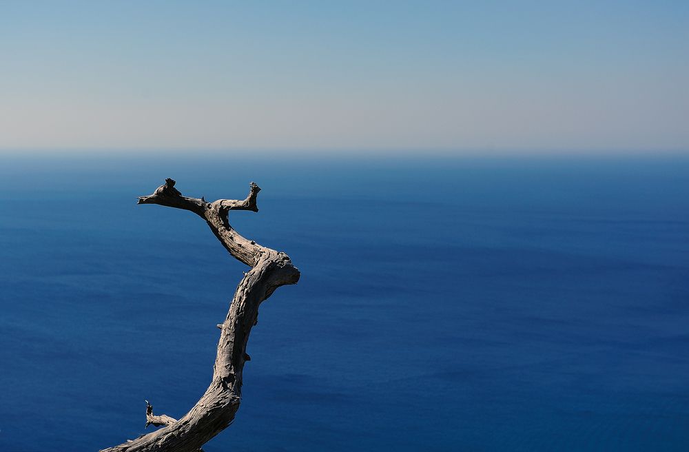 Photograph by Сергей Сережников